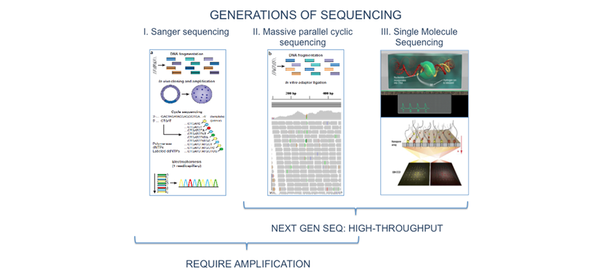 Generations of sequencing Sanger sequencing Massive parallel cyclic sequencing Single molecule sequencing next-gen seq: high-throughput require amplification