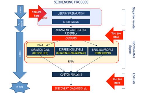 Sequencing process diagram - you are here: library preparation, sequencing. alignment to reference assembly, outputs. DNA, variation call (DIF from REF) Expression Levels (Sequence Abundance)  Splicing Profile (Transcripts). Custom Analysis. Discovery, diagnostics, etc.