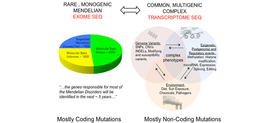 Rare, monogenic mendelian exome seq "the genes responsible for the most mendelian disorders will be identified in the next five years."  Common, multigenic complex transcriptome seq genome variants, complex phenotypes, environment, epigenetic, postgenomic, and regulatory events