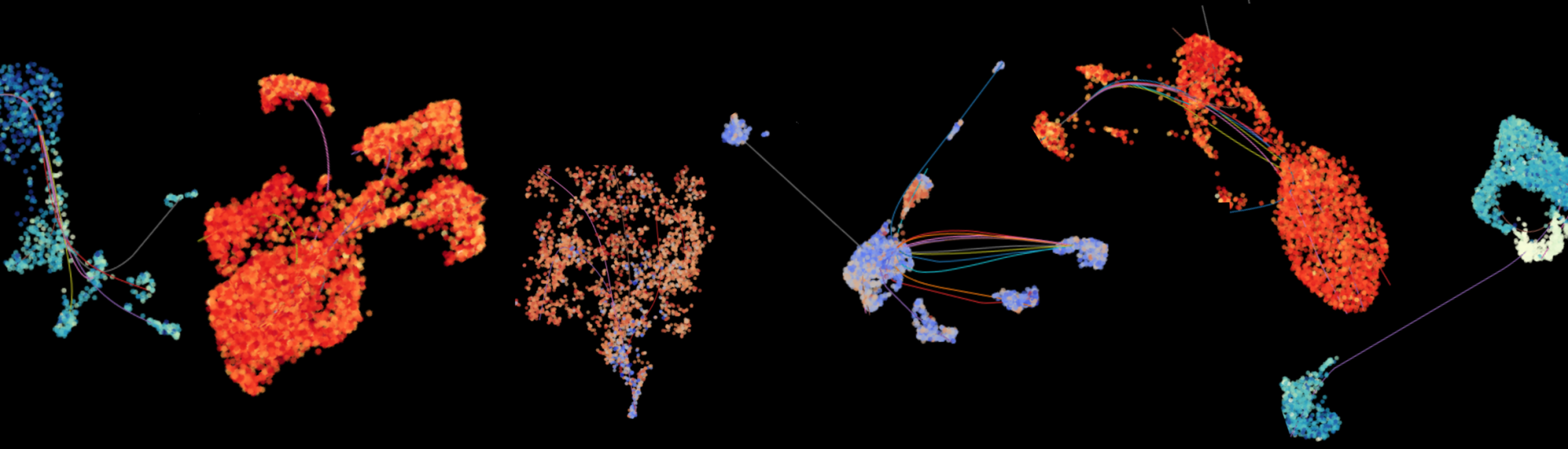 Single Cell Variome