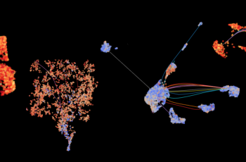 Single Cell Variome
